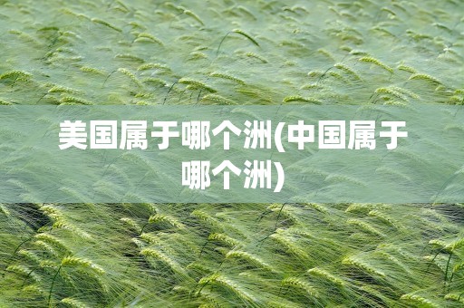 美国属于哪个洲(中国属于哪个洲)