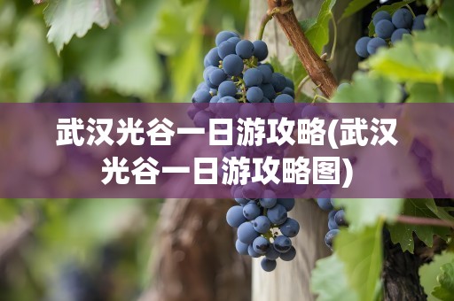 武汉光谷一日游攻略(武汉光谷一日游攻略图)