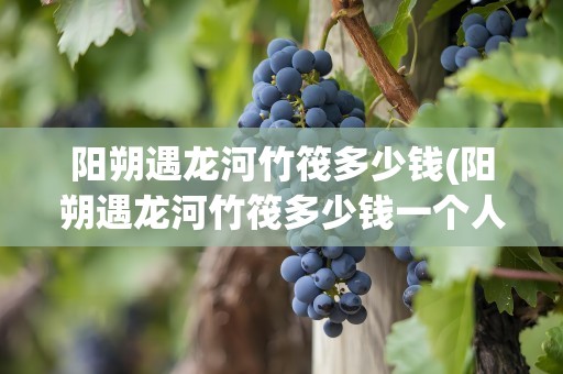 阳朔遇龙河竹筏多少钱(阳朔遇龙河竹筏多少钱一个人)