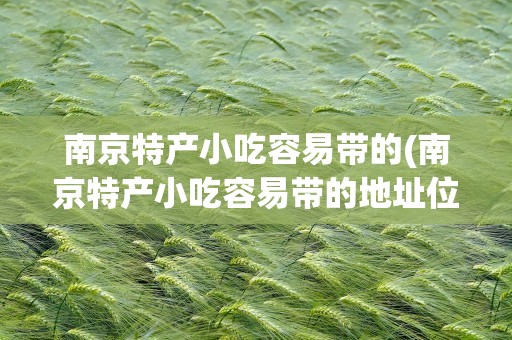 南京特产小吃容易带的(南京特产小吃容易带的地址位置)
