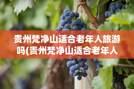 贵州梵净山适合老年人旅游吗(贵州梵净山适合老年人旅游吗现在)
