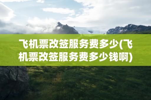 飞机票改签服务费多少(飞机票改签服务费多少钱啊)