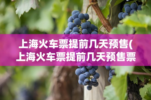 上海火车票提前几天预售(上海火车票提前几天预售票)