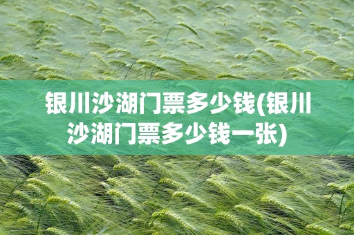 银川沙湖门票多少钱(银川沙湖门票多少钱一张)