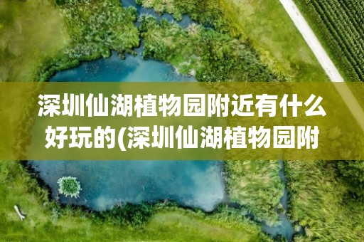 深圳仙湖植物园附近有什么好玩的(深圳仙湖植物园附近有什么好玩的吗)