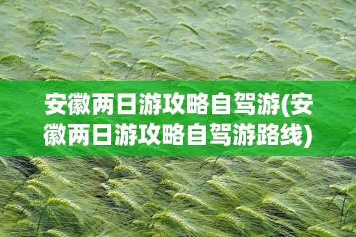 安徽两日游攻略自驾游(安徽两日游攻略自驾游路线)