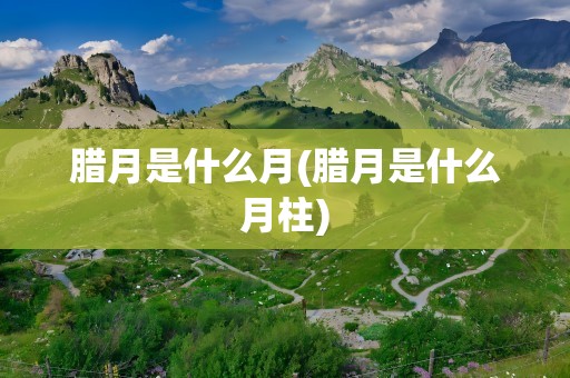 腊月是什么月(腊月是什么月柱)