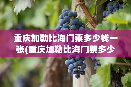 重庆加勒比海门票多少钱一张(重庆加勒比海门票多少钱一张啊)
