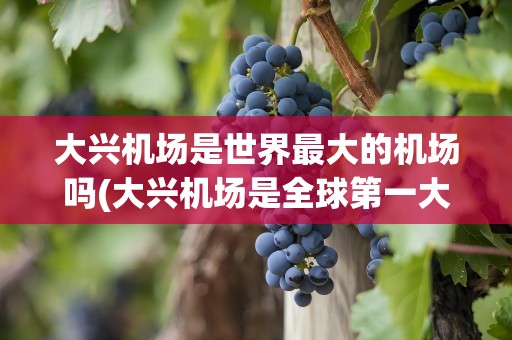 大兴机场是世界最大的机场吗(大兴机场是全球第一大机场)