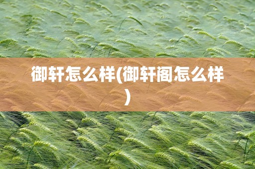 御轩怎么样(御轩阁怎么样)