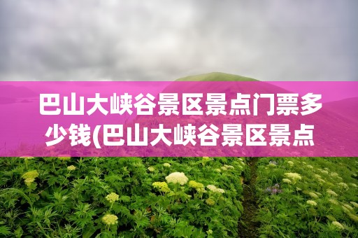 巴山大峡谷景区景点门票多少钱(巴山大峡谷景区景点门票多少钱啊)