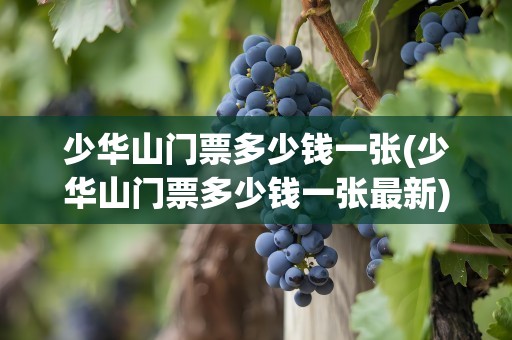 少华山门票多少钱一张(少华山门票多少钱一张最新)
