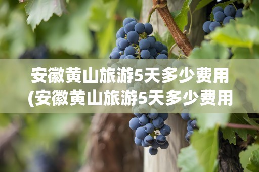 安徽黄山旅游5天多少费用(安徽黄山旅游5天多少费用啊)