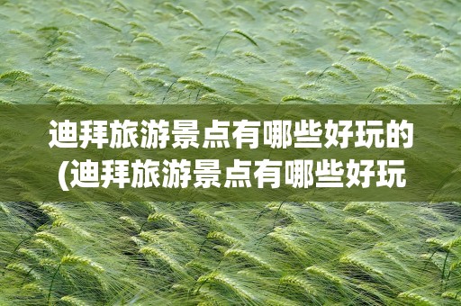 迪拜旅游景点有哪些好玩的(迪拜旅游景点有哪些好玩的项目)
