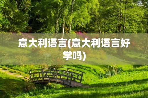 意大利语言(意大利语言好学吗)