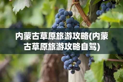 内蒙古草原旅游攻略(内蒙古草原旅游攻略自驾)