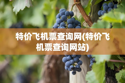特价飞机票查询网(特价飞机票查询网站)