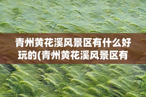青州黄花溪风景区有什么好玩的(青州黄花溪风景区有什么好玩的吗)