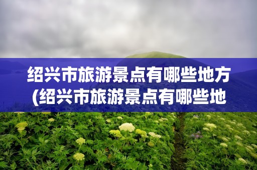 绍兴市旅游景点有哪些地方(绍兴市旅游景点有哪些地方好)