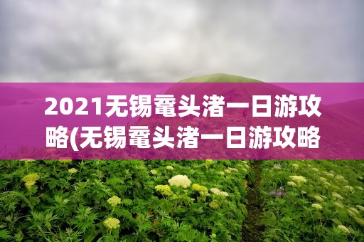 2021无锡鼋头渚一日游攻略(无锡鼋头渚一日游攻略自助游)