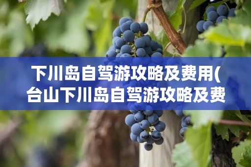 下川岛自驾游攻略及费用(台山下川岛自驾游攻略及费用)
