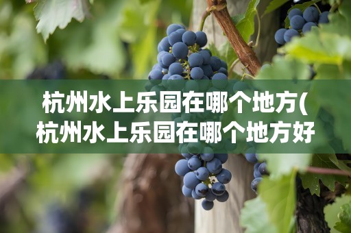 杭州水上乐园在哪个地方(杭州水上乐园在哪个地方好玩)