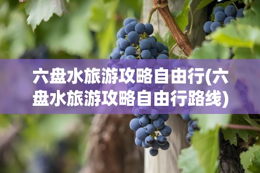 六盘水旅游攻略自由行(六盘水旅游攻略自由行路线)