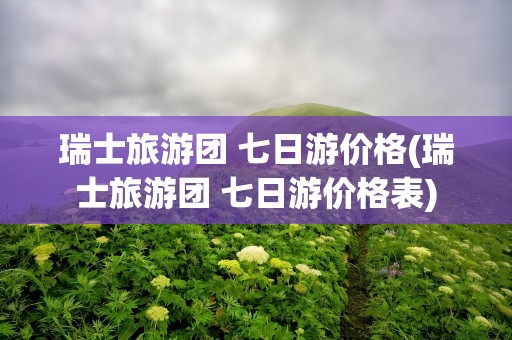 瑞士旅游团 七日游价格(瑞士旅游团 七日游价格表)