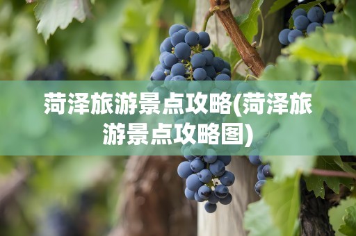 菏泽旅游景点攻略(菏泽旅游景点攻略图)
