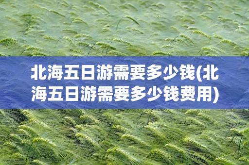 北海五日游需要多少钱(北海五日游需要多少钱费用)