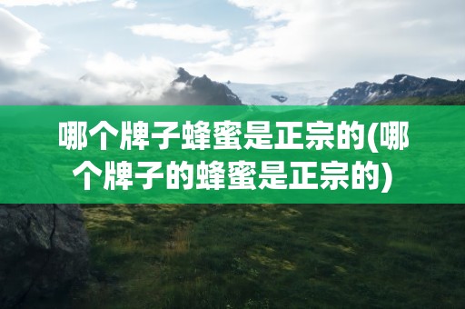 哪个牌子蜂蜜是正宗的(哪个牌子的蜂蜜是正宗的)