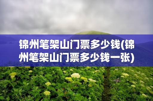锦州笔架山门票多少钱(锦州笔架山门票多少钱一张)