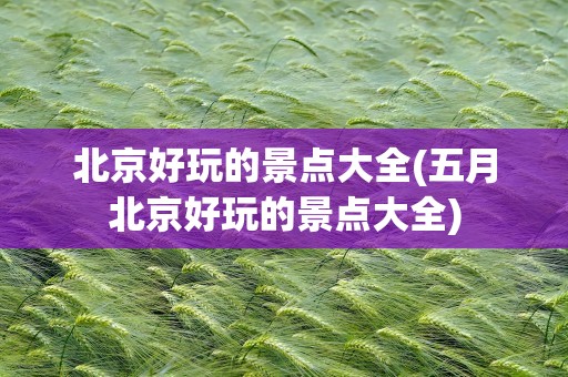 北京好玩的景点大全(五月北京好玩的景点大全)
