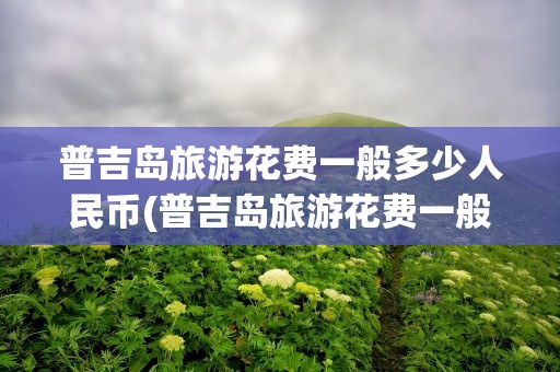 普吉岛旅游花费一般多少人民币(普吉岛旅游花费一般多少人民币啊)