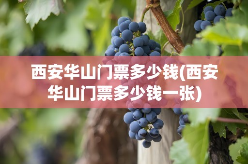 西安华山门票多少钱(西安华山门票多少钱一张)
