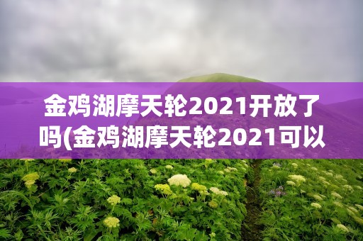 金鸡湖摩天轮2021开放了吗(金鸡湖摩天轮2021可以坐吗)