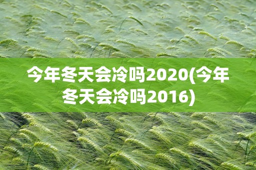 今年冬天会冷吗2020(今年冬天会冷吗2016)