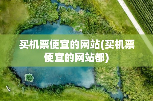 买机票便宜的网站(买机票便宜的网站都)