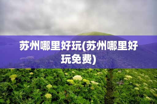 苏州哪里好玩(苏州哪里好玩免费)