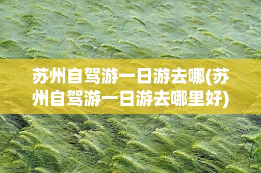 苏州自驾游一日游去哪(苏州自驾游一日游去哪里好)