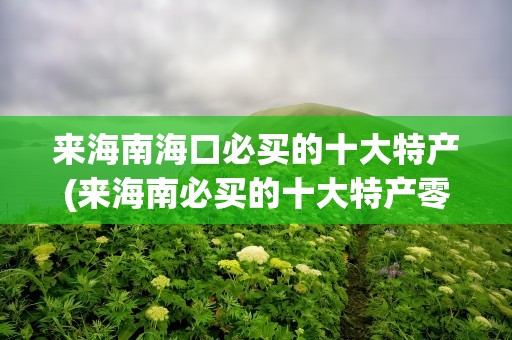 来海南海口必买的十大特产(来海南必买的十大特产零食)