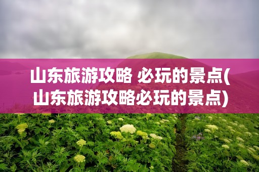 山东旅游攻略 必玩的景点(山东旅游攻略必玩的景点)