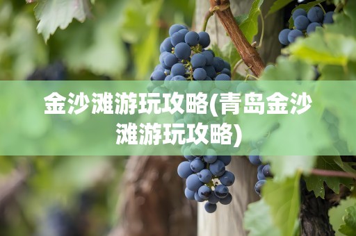 金沙滩游玩攻略(青岛金沙滩游玩攻略)