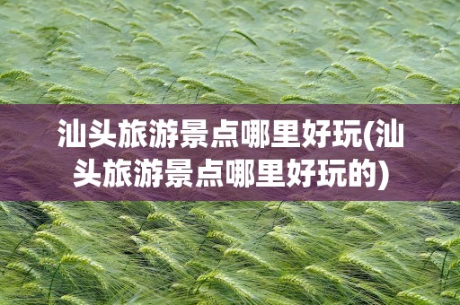 汕头旅游景点哪里好玩(汕头旅游景点哪里好玩的)
