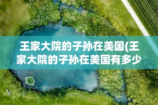 王家大院的子孙在美国(王家大院的子孙在美国有多少)