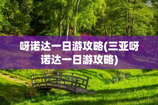 呀诺达一日游攻略(三亚呀诺达一日游攻略)