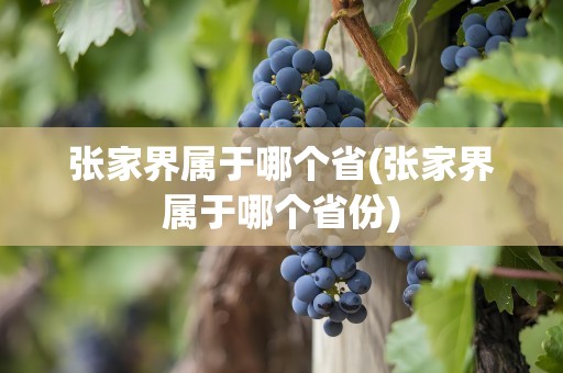 张家界属于哪个省(张家界属于哪个省份)