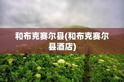 和布克赛尔县(和布克赛尔县酒店)