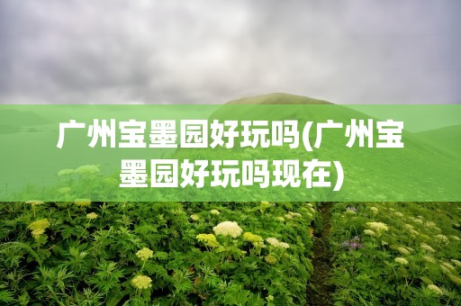 广州宝墨园好玩吗(广州宝墨园好玩吗现在)