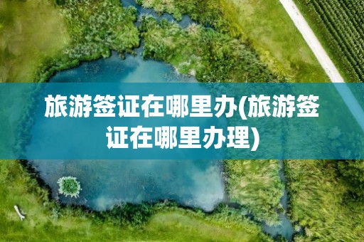 旅游签证在哪里办(旅游签证在哪里办理)